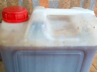 Natural Unsaturated Honey (10 Litres)
