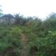 2.6 PLOTS OF LAND FOR SALE