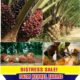 115 Acres of Oil Palm Farm for sale