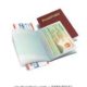 genuine USA visa package with work permit papers