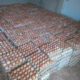 Fresh eggs and day old chicks for sale