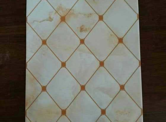 Goodwill Ceramics Tiles