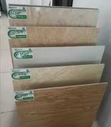 Goodwill Ceramics Tiles Production Nigeria Ltd