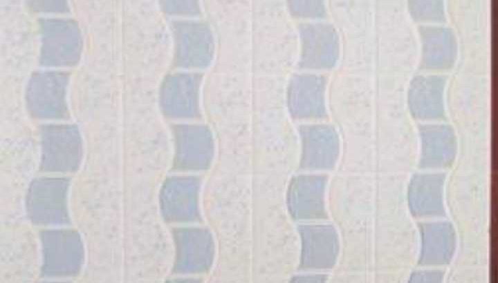 Goodwill Ceramics Tiles Sales