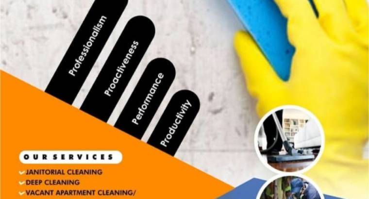 4P’s Solutions home and commercial cleaning servic