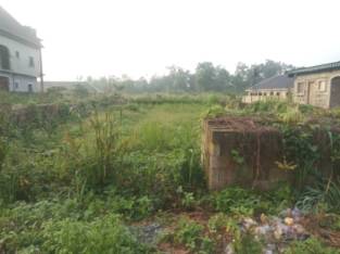 100ft by 100ft 4 Sale in Ughelli