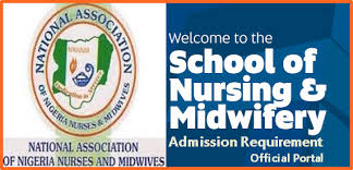 School of Nursing, Amaigbo 2020/2021 Admission For
