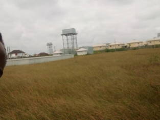 A land measuring 1,000sqm is available for sale