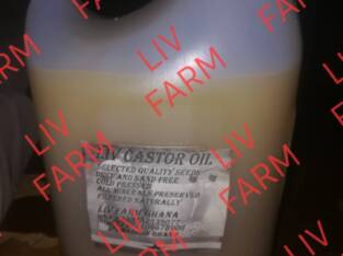 Castor Oil Cold Press At Liv Farm