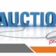 Nigeria Custom Service Auction offers