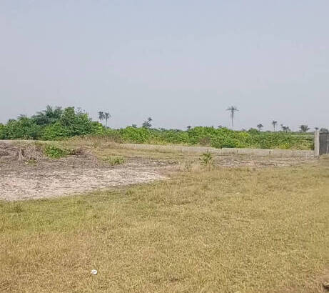 ACRES OF LAND UP FOR SALE