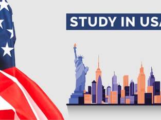 Education consultants for USA