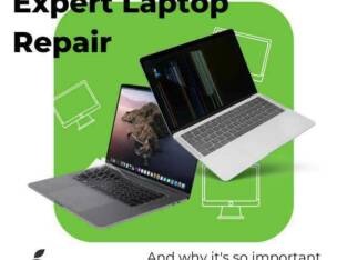 Laptop and TV repairs
