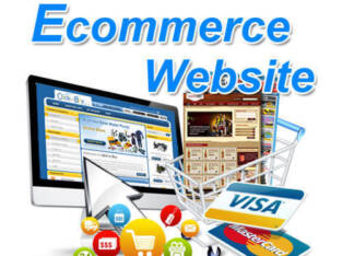 Launch Your Ecommerce Websit