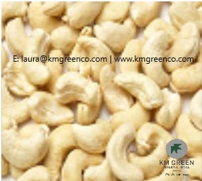 Vietnamese Cashew Nut Kernels WW240, WW320, WW450